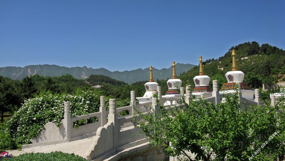 清东陵万佛园打造旅游特色陵园，只有现场才能感受到的美！