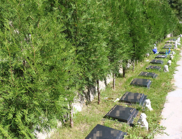 北京33家经营性公墓中有没有便宜的？具体价位多少钱？