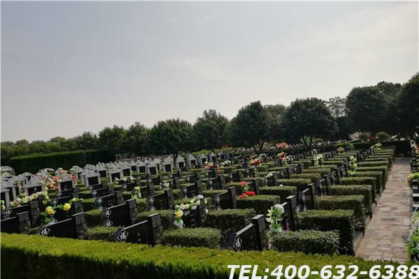 涿州卧龙公墓都有什么类型？会定期清扫墓地吗？