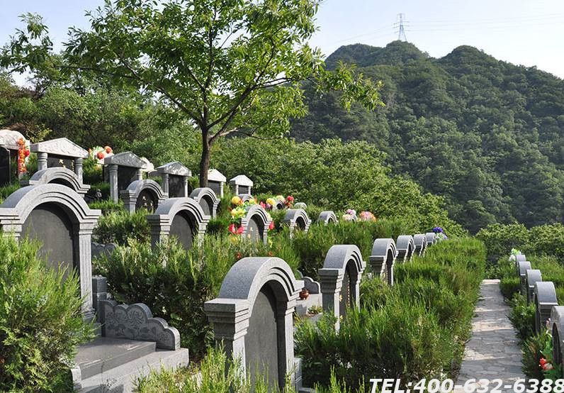 北京树葬陵园有哪些？为什么越来越多的人选择树葬？