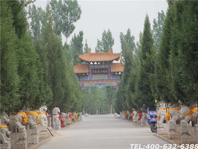 河北省保定市皇家龙山陵园现在能不能去选墓？