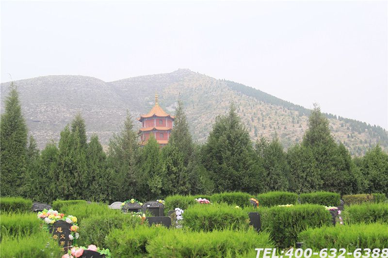 北京有什么地方可以树葬？树葬是什么？