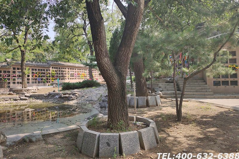 北京有树葬吗在哪里？树葬是什么？
