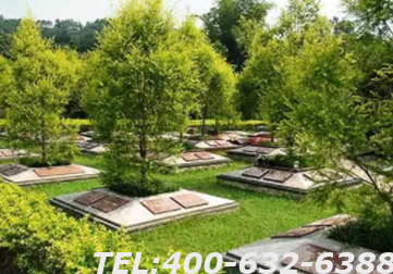 九公山树葬是什么意思 九公山陵园的绿化如何