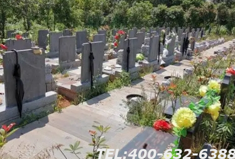 灵山宝塔陵园丹丹下葬视频哪里找的到？陵园环境好不好？