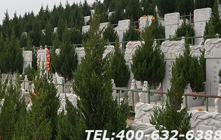 涿州附近墓地多不多？哪一家价格最便宜？