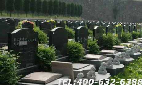 树葬全部费用大概多少钱呢？树葬有年限吗？