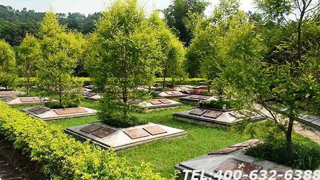 北京自然葬地址多吗 为什么现在都更青睐于自然葬礼