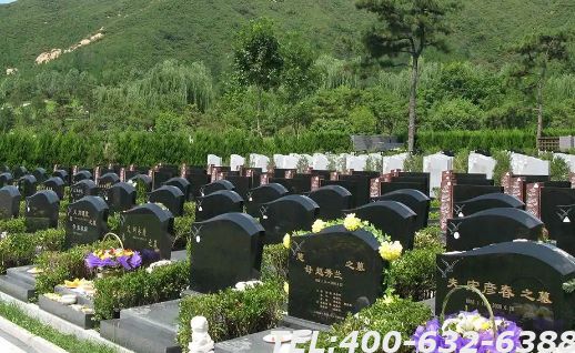 北京树葬陵园哪家好？风水旺不旺？