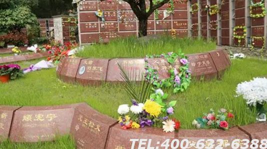北京树葬墓地哪里比较好呢？树葬有什么好处？