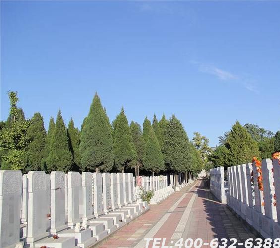 北京市天慈墓园怎么样？园内环境好吗？