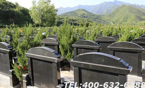 怎么查京东天堂公墓价格一览表？天堂公墓都有哪些墓型？