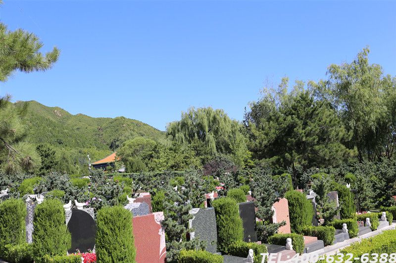 天寿陵园在哪个好？墓碑有什么类型？