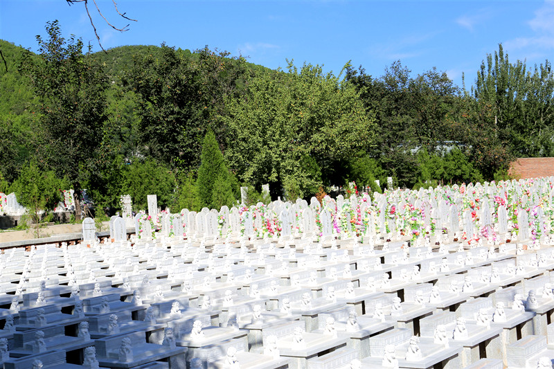 北京安定门外公义墓地 提供海葬和树葬服务吗