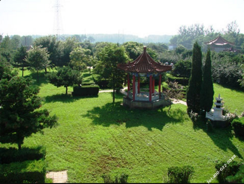 墓地到期怎样续交管理费