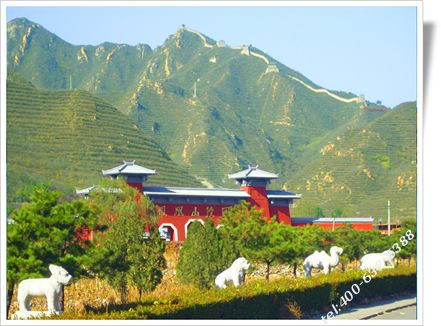 北京部分墓地春景