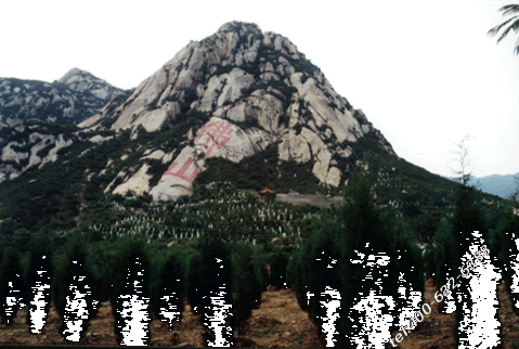 北京佛山陵园在哪？质量怎么样？有没有官方网站？
