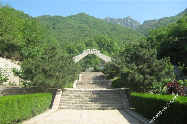 北京哪里有树葬陵园? 北京树葬公墓大全。