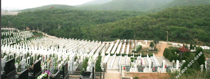 炎黄陵园价格怎么样，可选墓地多吗？
