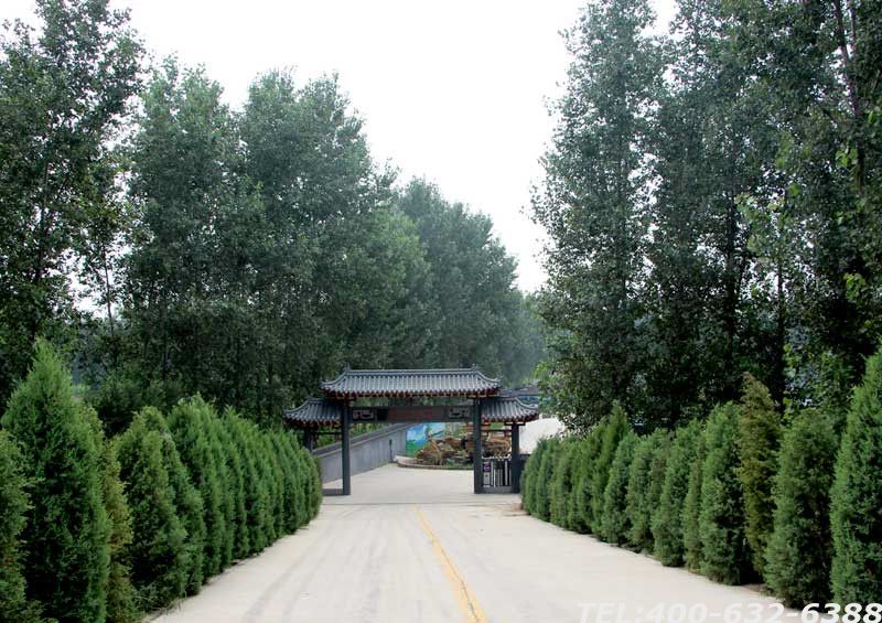 永福墓园具体位置在哪儿？怎么到永福墓地选墓？
