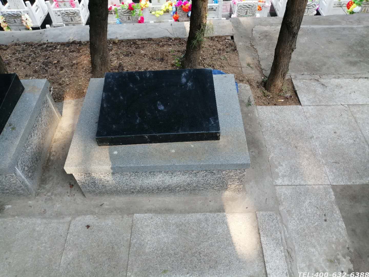 昌平树葬图片