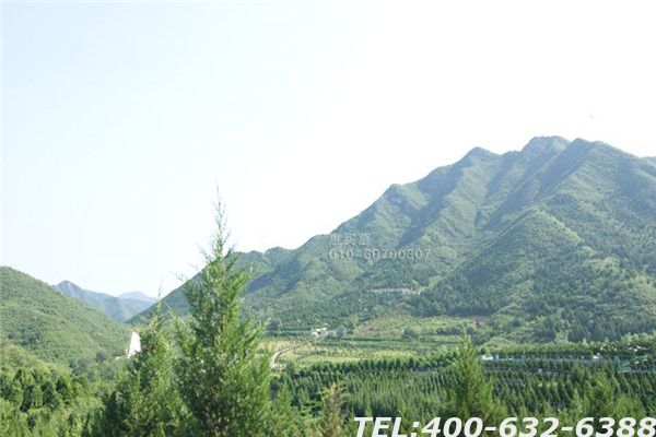 城区客房到那儿买墓地 7月亲民购墓月 多重优惠让利于您