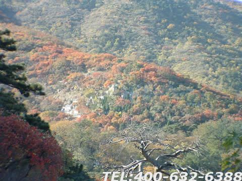 海淀墓地陵园 7月亲民购墓月 多重优惠让利于您