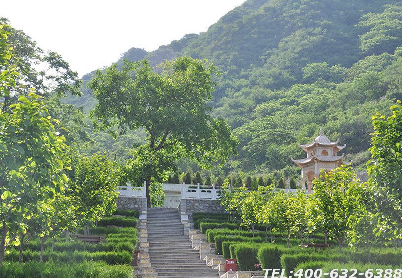 九公山的树葬多少钱？有什么特点？