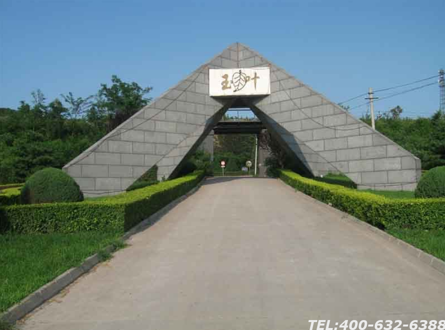 玉叶陵园环境介绍