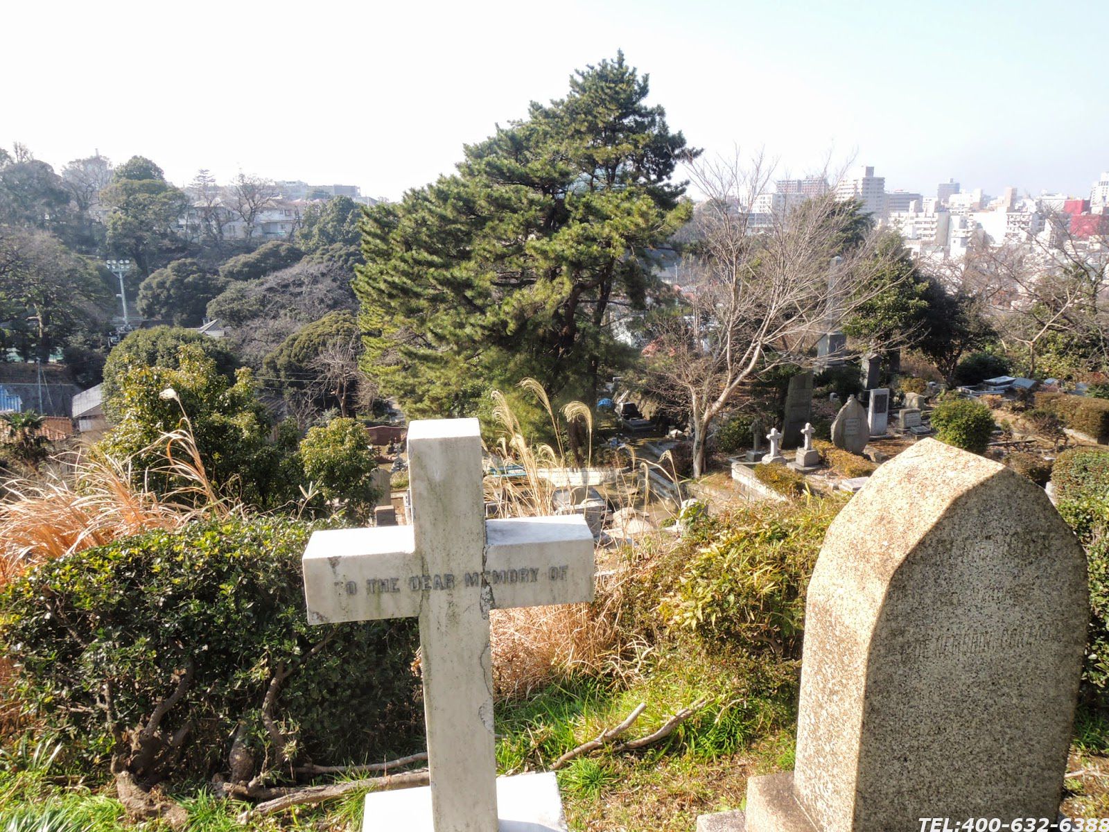 北京朝阳区墓地陵园地址在哪里？朝阳区墓地价格是多少？