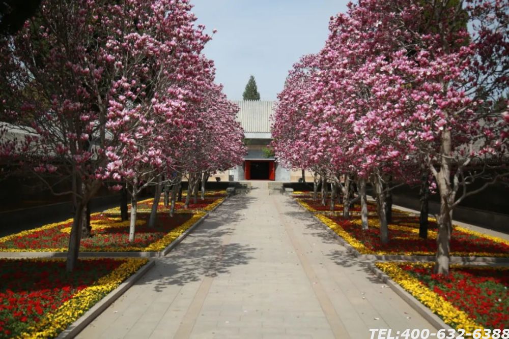 八宝山革命公墓的介绍，八宝山革命公墓的价格