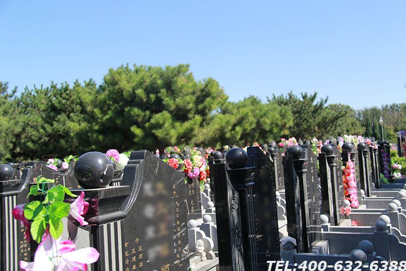 北京朝阳陵园官网电话是多少？有去那里的公交车吗？