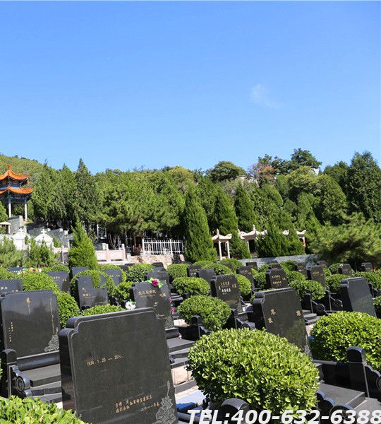 天慈墓园在哪里？售价多少？