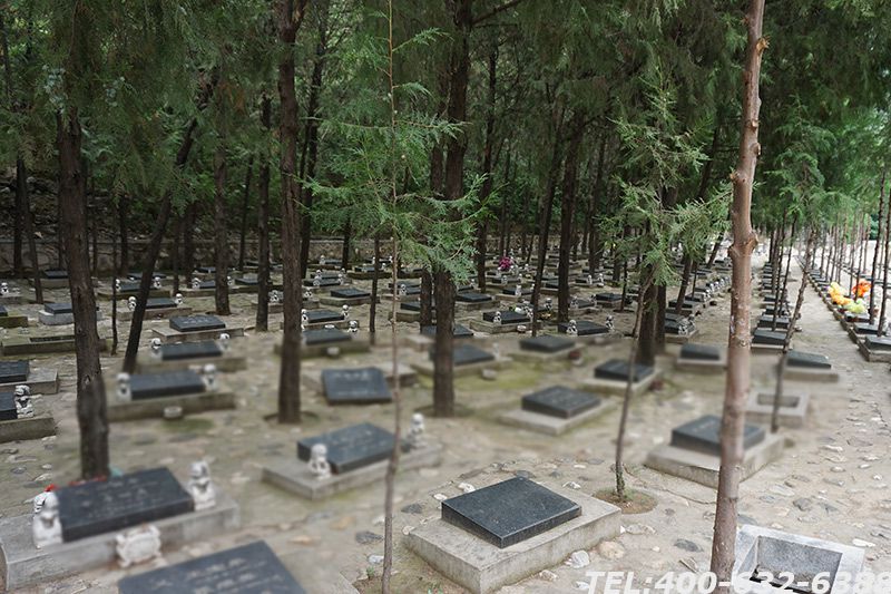 思亲园骨灰林墓地价格是多少？怎么选择殡葬服务？