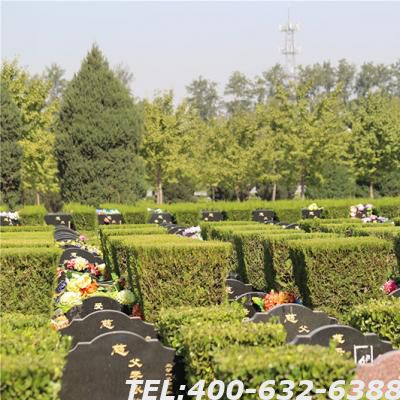 外侨公墓整体情况怎么样价格怎么样