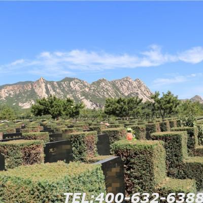长安园骨灰林怎么样有哪些安葬方式