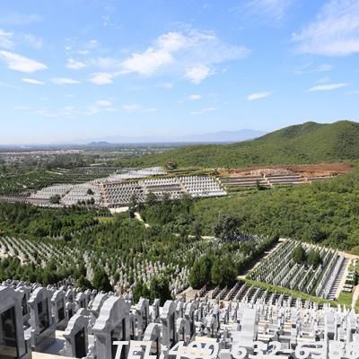 炎黄陵园优势体现在哪