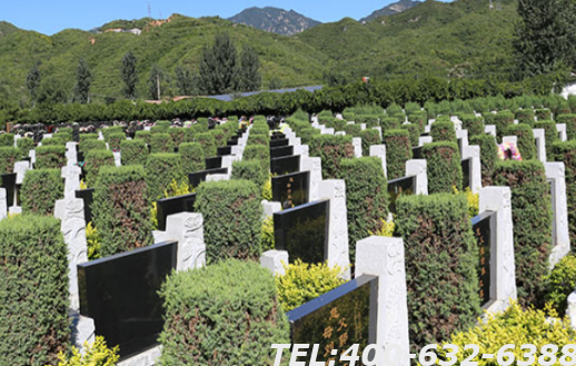 北京大兴区墓地价格怎么样？走势如何？