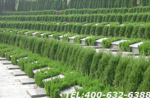 北京九公山墓地价格表是什么呢？北京九公山墓地是合法的吗？