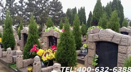 北京树葬多少钱呢？树葬怎么样呢？