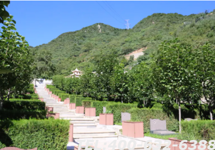 九公山纪念林有哪些特点 九公山纪念林气候如何
