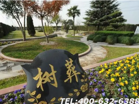朝阳陵园预约电话是多少？周末时间可以去参观吗？