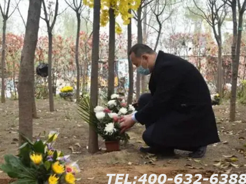 朝阳陵园墓地价格表哪里有？哪家墓地的价格比较便宜？