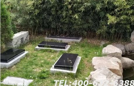 树葬墓地可以私人经营吗？这种墓地可以买吗？