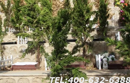树葬墓地的办理流程是怎样的？在哪里可以办理？