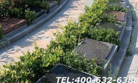 涿州东茨村墓地环境如何？墓地价格贵不贵？