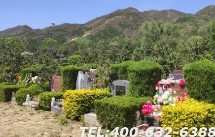 卧龙公墓价格有变化吗？影响墓地价格的因素有哪些？