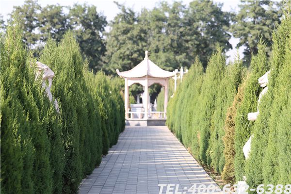 涿州哪里有卖墓地的？墓地价格包含什么？