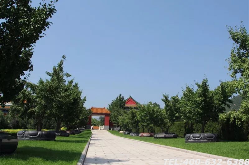 北京树葬指定区域在什么地方？北京树葬墓地费用标准