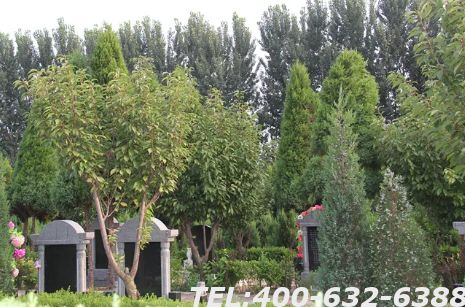涿州卧龙公墓官网在哪里呢？涿州卧龙公墓起步价是多少？